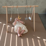 nighty night elephant - baby play gym