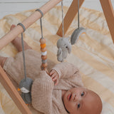 grey friends - baby play gym
