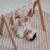 lovely daisy - baby play gym