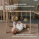 bunny & bee - baby play gym
