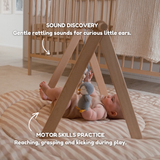 grey friends - baby play gym