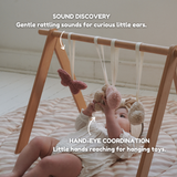 lovely daisy - baby play gym